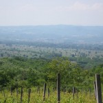 Pogled iz Agroplantinog vinograda na dolinu Zapadne Morave