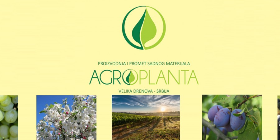 vocne-sadnice-agroplanta-1