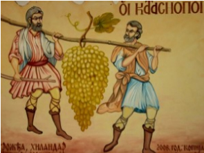 lozni-kalemovi-velika-drenova